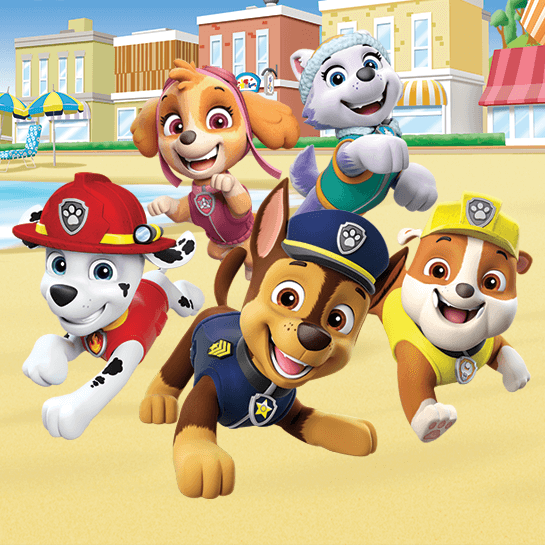 Paw patrol kinder outlet surprise